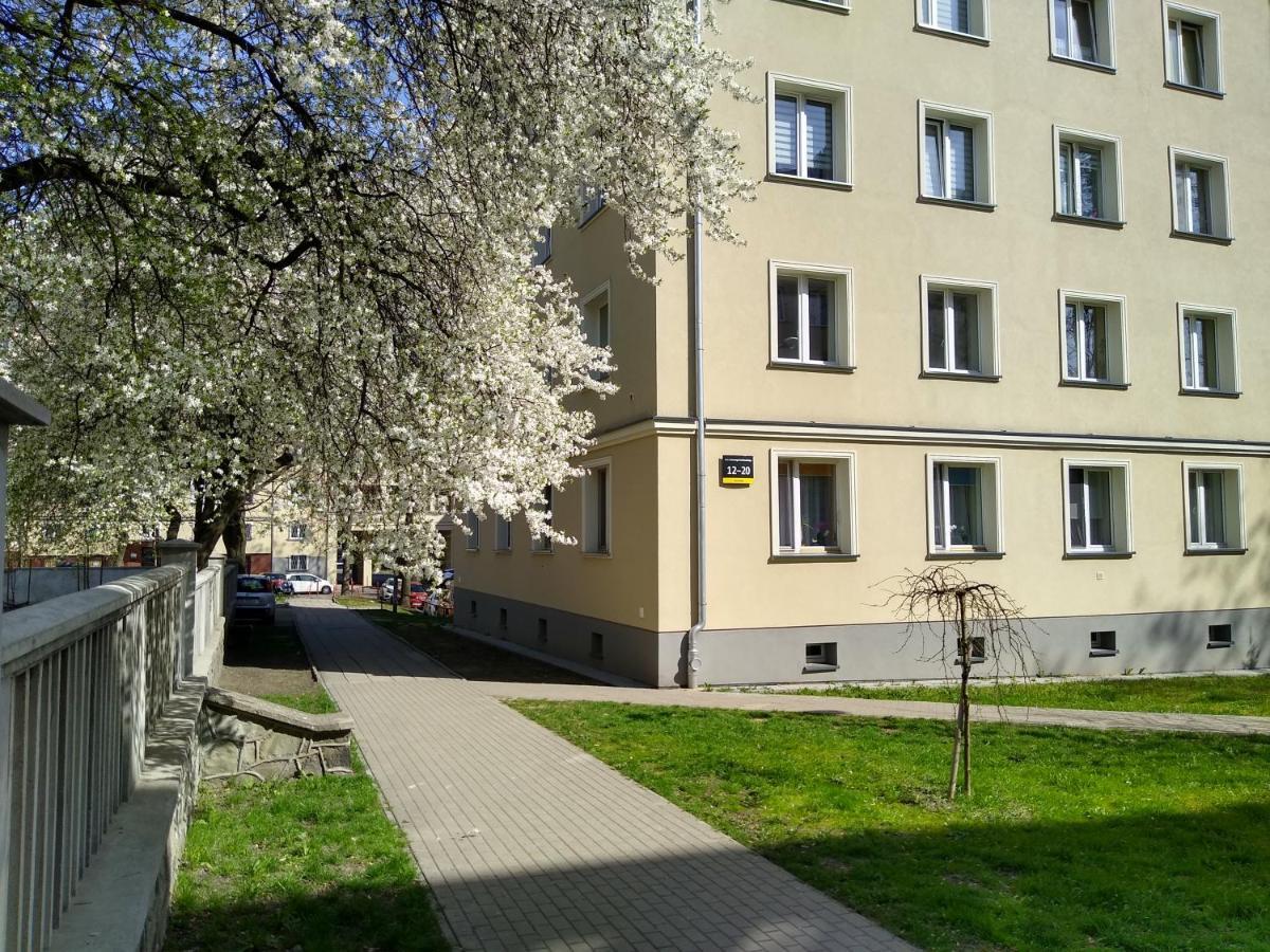 Apartment Bluebird Katowice Near Spodek Mck & City Center Luaran gambar